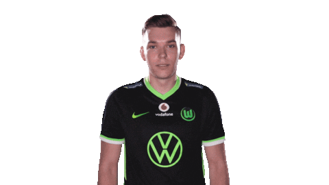 E Sports Sport Sticker by VfL Wolfsburg