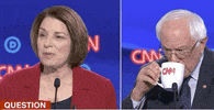 Bernie Sanders Dnc Debates 2019 GIF by GIPHY News