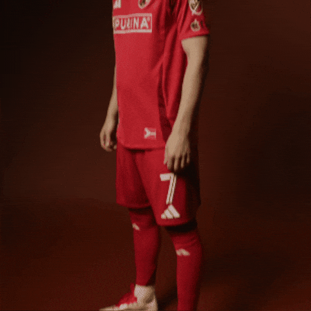 Stlcitysc GIF by St. Louis CITY SC