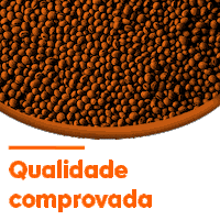 Blindado Sticker by Grupo Conceito