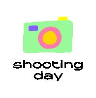 Illustration Photography Sticker