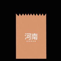 Honan cookie noodles rice chinese food GIF