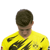 Line Up Hello Sticker by Bundesliga