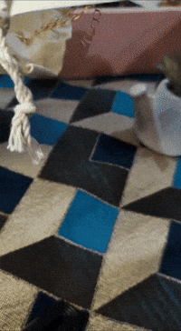 Couple Love GIF by Cocaine Girl