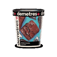 Demetres Demetresicecream Cocoachanel Demetrespint Icecreampints Sticker by Demetres
