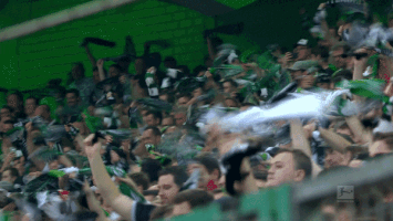 fans die fohlen GIF by Borussia Mönchengladbach