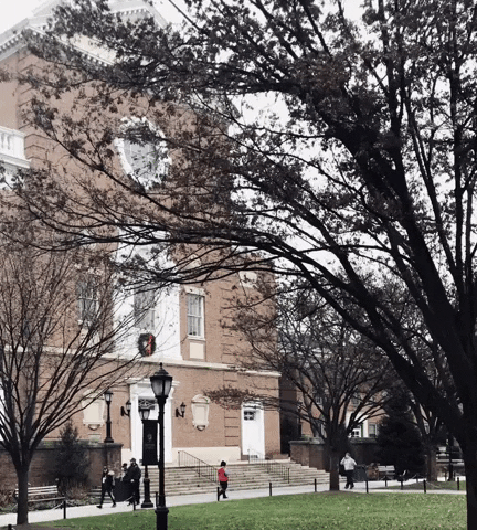 manhattanedu giphygifmaker GIF