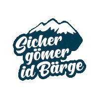 lenksimmental switzerland schweiz lst lenk Sticker