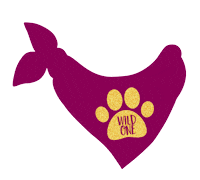 Love Dogs Photography Sticker by puppytales