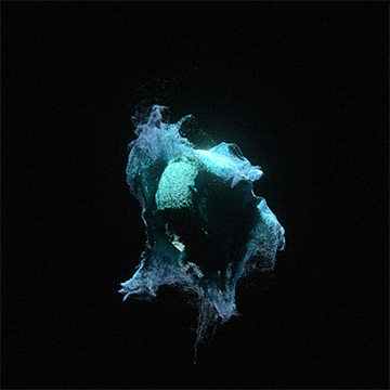 motion graphics satisfying GIF by somenerv