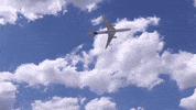 Fly Flying GIF by Safran