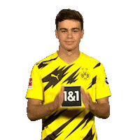 Football Thank You Sticker by Bundesliga