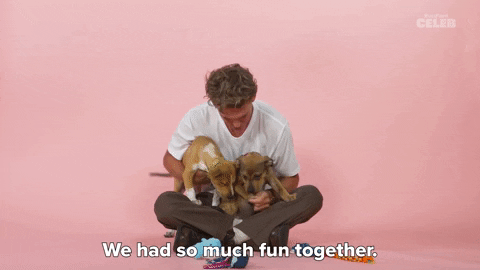 Austin Butler Dog GIF by BuzzFeed