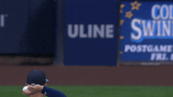 Home Run Sport GIF by MLB