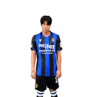 Football Soccer Sticker by Incheon United FC