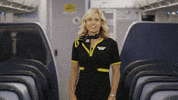 SpiritAirlines fly letsgo spirit spiritairlines GIF