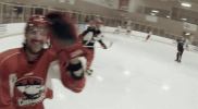 wave celebrate GIF by Charlotte Checkers