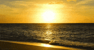 beach ocean GIF by Head Like an Orange