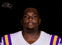 Lsu Tigers GIF by Respective