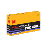 Film Photography Sticker by Kodak