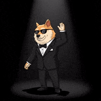 Shiba Inu Hello GIF by Doge Pound