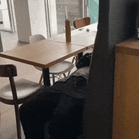 add2kreation reaction what hello laugh GIF