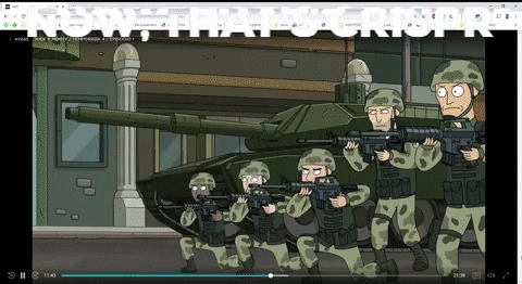 antoninoguera giphygifmaker rick morty crispr GIF