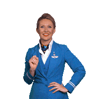 Swipe Up Royal Dutch Airlines Sticker by KLM