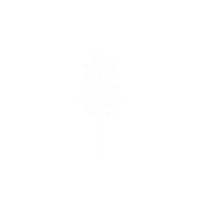 ywamherrnhut ywamherrnhut ywam herrnhut harvestdts harvest dts Sticker
