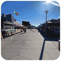 New York Festival GIF by Masc Hospitality Group