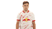 Rb Leipzig Rbl Sticker by Bundesliga
