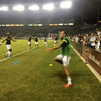 lavtor GIF by LA Galaxy