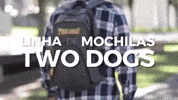 bag GIF by Two Dogs