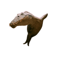 papalotemuseomty mexico monterrey dinosaurio papalotemty Sticker