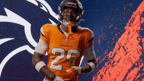 Denver Broncos Football GIF by Broncos