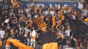 soccer fans GIF by Houston Dynamo