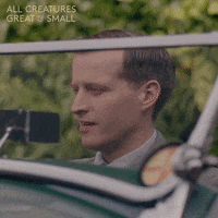 allcreaturestv smile animals car yorkshire GIF