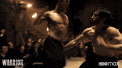 Martial Arts Fight GIF by Max