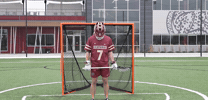 GIF by Lafayette Leopards