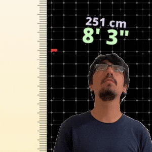 8' 3"