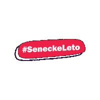seneckeleto_festival festival slovakia leto senec Sticker