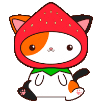 Cat Kitten Sticker