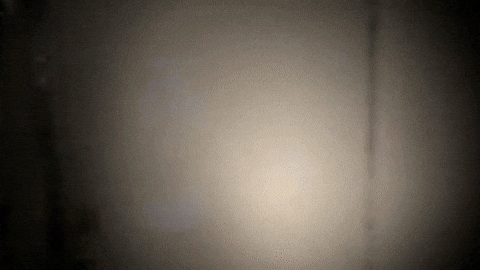 Band Philadelphia GIF by Topshelf Records