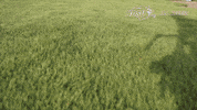 north dakota state bison GIF by NDSU Athletics