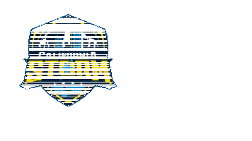 Womens Soccer Football Sticker by USL