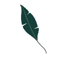 maypop plant plants leaf leaves Sticker