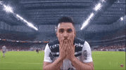 te amo love GIF by SE Palmeiras