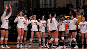 Dance GIF by NDSU Athletics