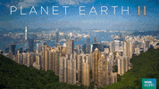 planet earth 2 city GIF by BBC Earth