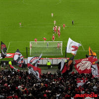 Football Dogs GIF